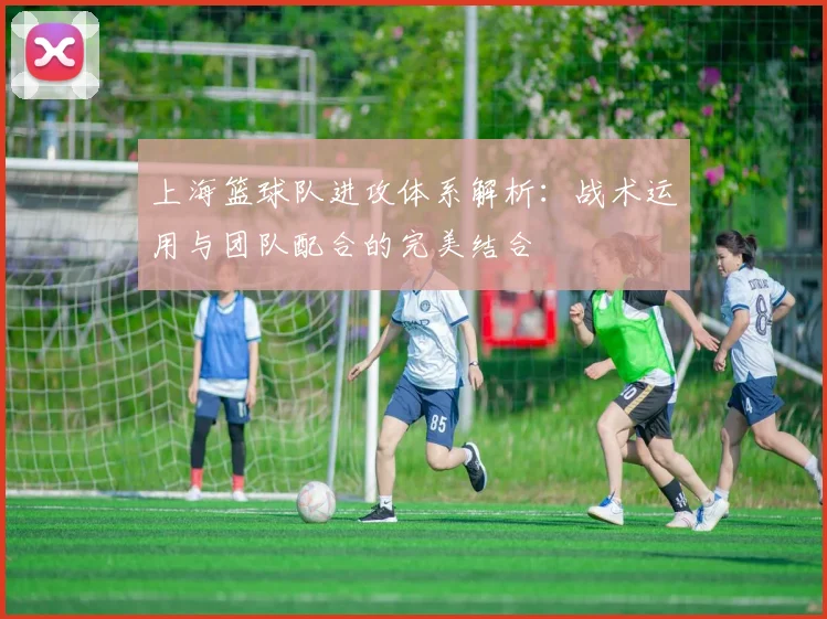 上海篮球队进攻体系解析：战术运用与团队配合的完美结合