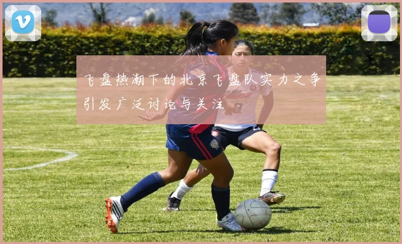 飞盘热潮下的北京飞盘队实力之争引发广泛讨论与关注